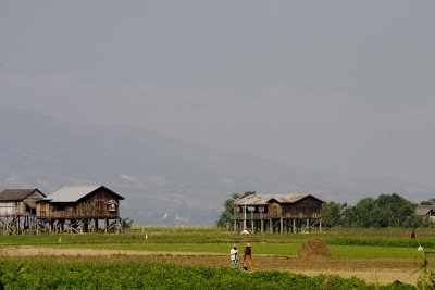 It was so quiet and nice the day I rode out to the Irrawady. All this, only a kilometer or so from Mandalay madness