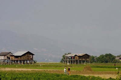 It was so quiet and nice the day I rode out to the Irrawady.  All this, only a kilometer or so from Mandalay madness