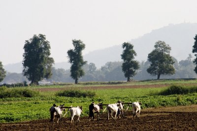 Farming village