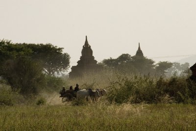 Temple with ox cart