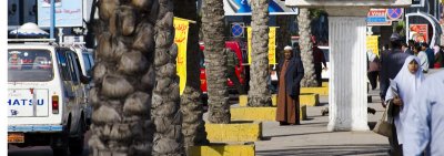 Corniche, palms