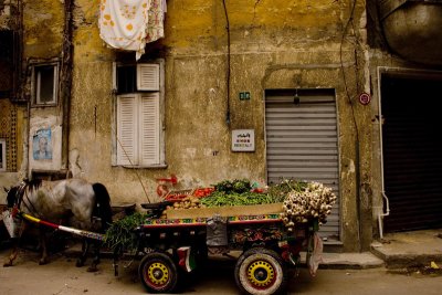 Lonely donkey cart