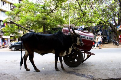 Ah, India