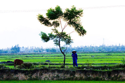 On a motorbike ride outside Hoi An