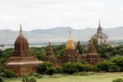 Lots of temples