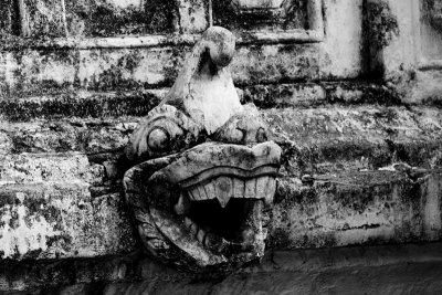 Fish head drain spout