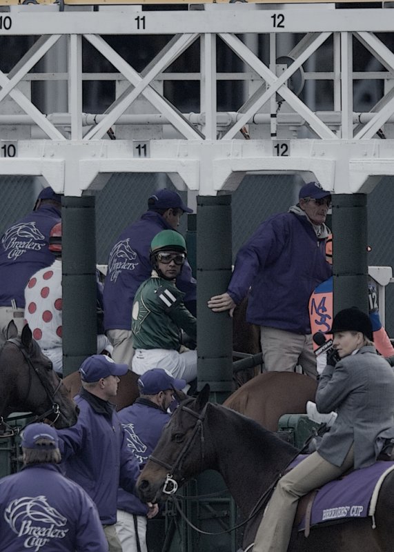 _DS-C0006 - Super Frolic - Net Jets Breeders Cup Mile.jpg