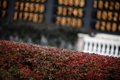 M_IMG_8670.jpg