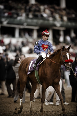 M_race6-TVG breeders cup sprint_Thors_Echo.jpg