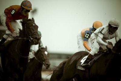 M_race7-net jets breeders cup mile turf_Rob_Roy__Gorella.jpg