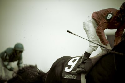 M_race7-net jets breeders cup mile turf_Rob_Roy.jpg