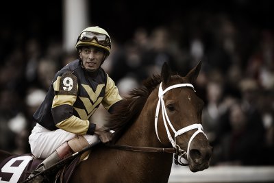 M_race8-emirates airlines breeders cup distaff_Pool_Land.jpg