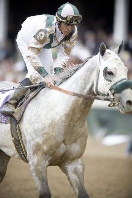 M_race6-TVG breeders cup sprint_Too Much Bing.jpg
