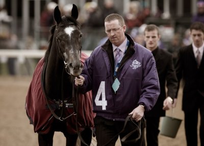 B_BC2006DSC_0006edit_SLEEPING INDIAN_RACE 7_NET JETS BREEDERS CUP MILE.jpg