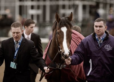 B_BC2006DSC_0008edit_RACE 7_NET JETS BREEDERS CUP MILE.jpg