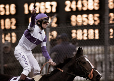 B_BC2006DSC_0029edit_RED ROCKS_RACE 9_JOHN DEERE BREEDERS CUP TURF.jpg