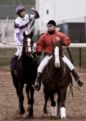 B_BC2006DSC_0034edit_RED ROCKS_RACE 9_JOHN DEERE BREEDERS CUP TURF.jpg