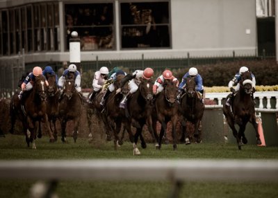 B_BC2006DSC_0036edit_RACE 7_NET JETS BREEDERS CUP MILE.jpg