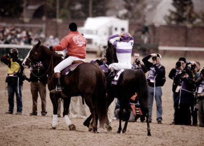 B_BC2006DSC_0045edit_RED ROCKS_RACE 9_JOHN DEERE BREEDERS CUP TURF.jpg