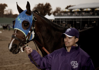 B_BC2006DSC_0056edit_RACE 10_BREEDERS CUP CLASSIC.jpg
