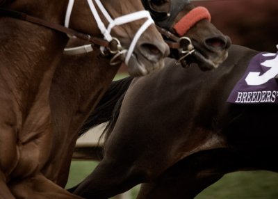 B_BC2006DSC_0100edit_RACE 8_EMIRATES AIRLINES BREEDERS CIUP DISTAFF_HEALTHY ADDICTION.jpg