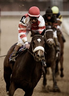 B_BC2006DSC_0129edit_ROUND POND_RACE 8_EMIRATES AIRLINES BREEDERS CUP DISTAFF_PRADO.jpg