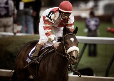 B_BC2006DSC_0132edit_ROUND POND_RACE 8_EMIRATES AIRLINES BREEDERS CUP DISTAFF_PRADO.jpg