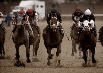 B_BC2006DSC_0355edit_RACE 6_TVG BREEDERS CUP SPRINT.jpg