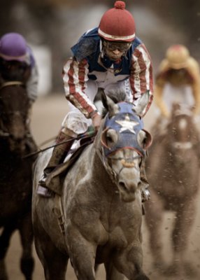 B_BC2006DSC_0365edit_RACE 6_TVG BREEDERS CUP SPRINT_THORS ECHO.jpg