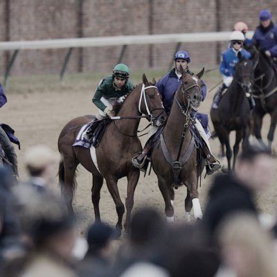 _DS-C0001 Super Frolic - Net Jets Breeders' Cup Mile.jpg