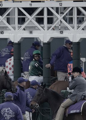 _DS-C0006 - Super Frolic - Net Jets Breeders' Cup Mile.jpg