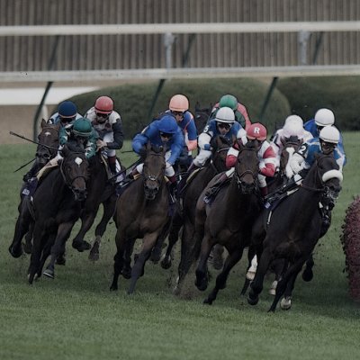 _DS-C0009 - Net Jets Breeders' Cup Mile.jpg
