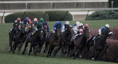 _DS-C0010 - Net Jets Breeders' Cup Mile.jpg