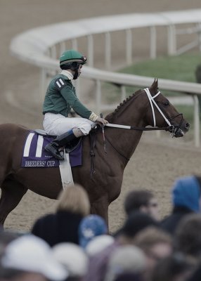 _DS-C0101 - Super Frolic - BC mile.jpg