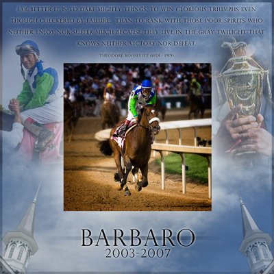 B-barbaroDSC_0201editC.jpg