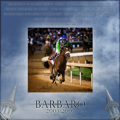 B-barbaroDSC_0201editD.jpg