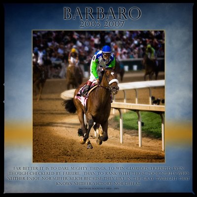 barbaro