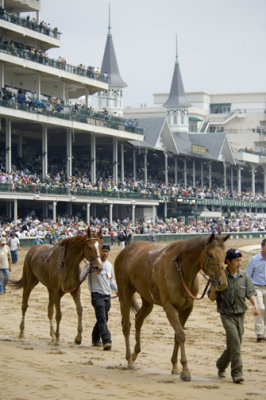 _DSC1306 Race 3 Horse 4 on left.jpg