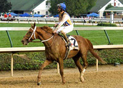 _DSC1741 - KYD 3rd place - Curlin.jpg