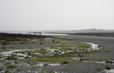IMG_6088.jpg
