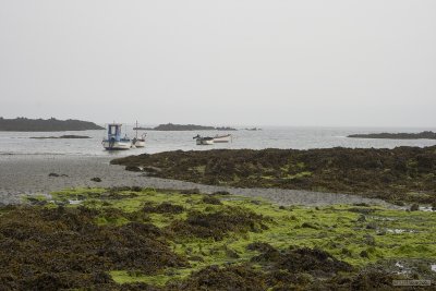 IMG_6096.jpg