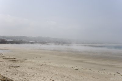 IMG_6110.jpg