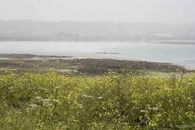 IMG_6126.jpg