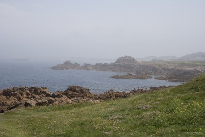 IMG_6151.jpg