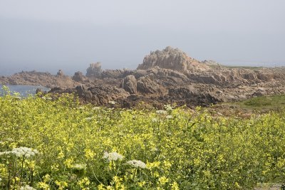 IMG_6153.jpg