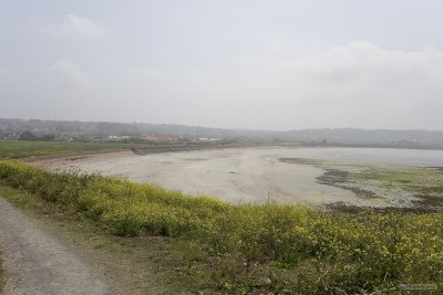 IMG_6155.jpg