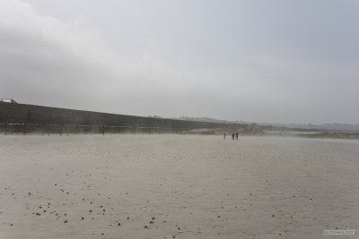 IMG_6167.jpg