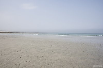 IMG_6168.jpg