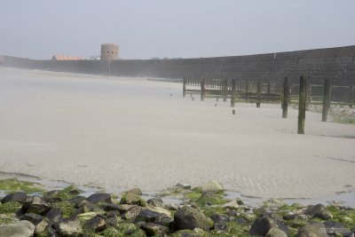 IMG_6181.jpg