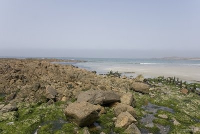 IMG_6184.jpg